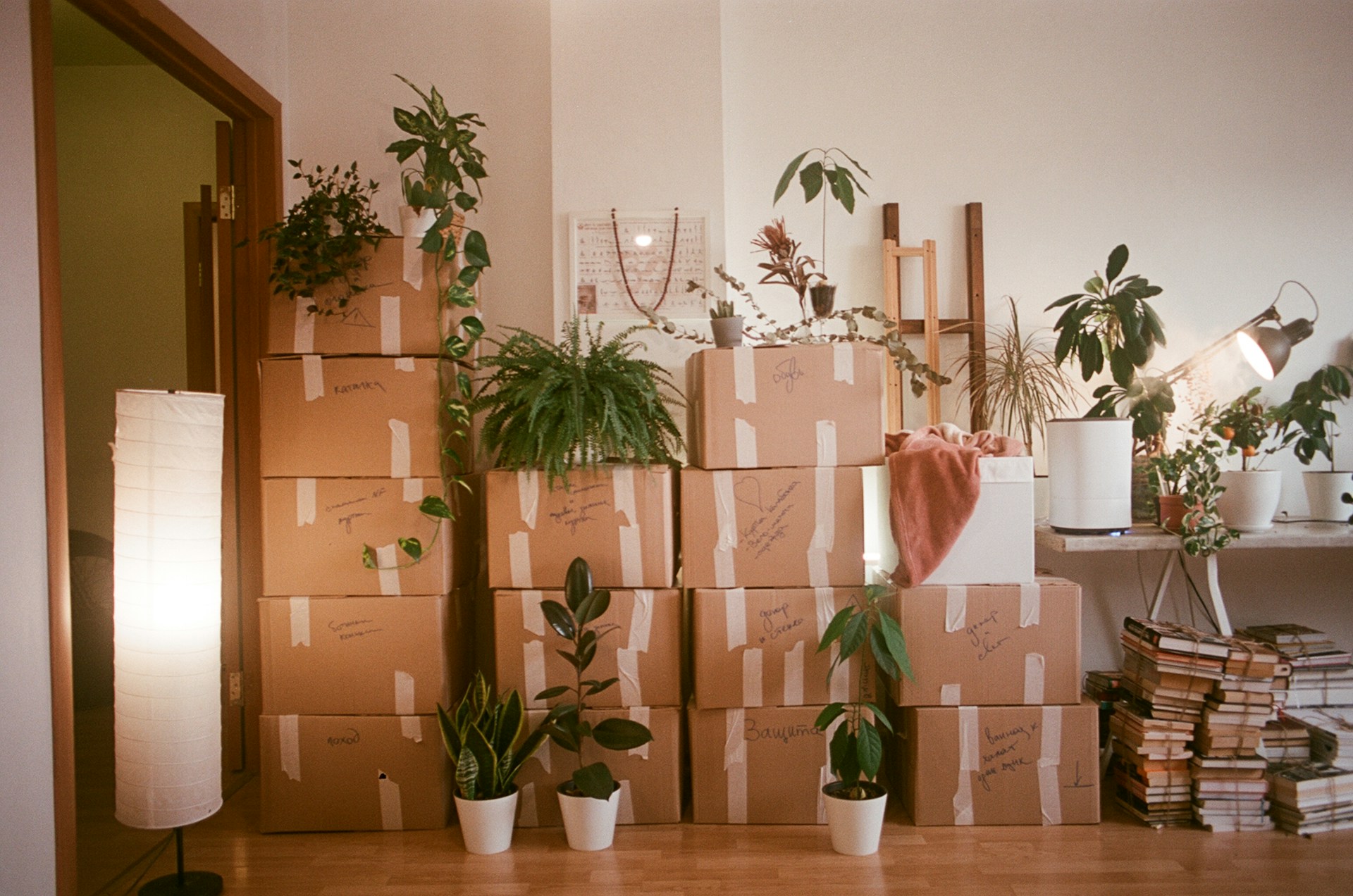 Moving Day